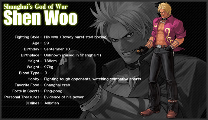 http://game.snkplaymore.co.jp/official/kof-xii/english/character/img/shen.jpg